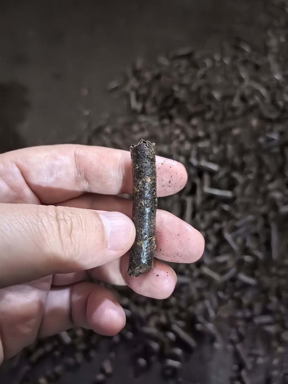 Indijas riekstu čaumalas granulas