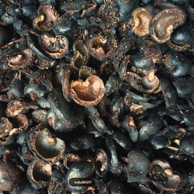 Indijas riekstu čaumalas bioogles kā ogļu aizstājējs